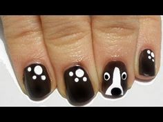 border collie nagels knippen border collie nagels knippen